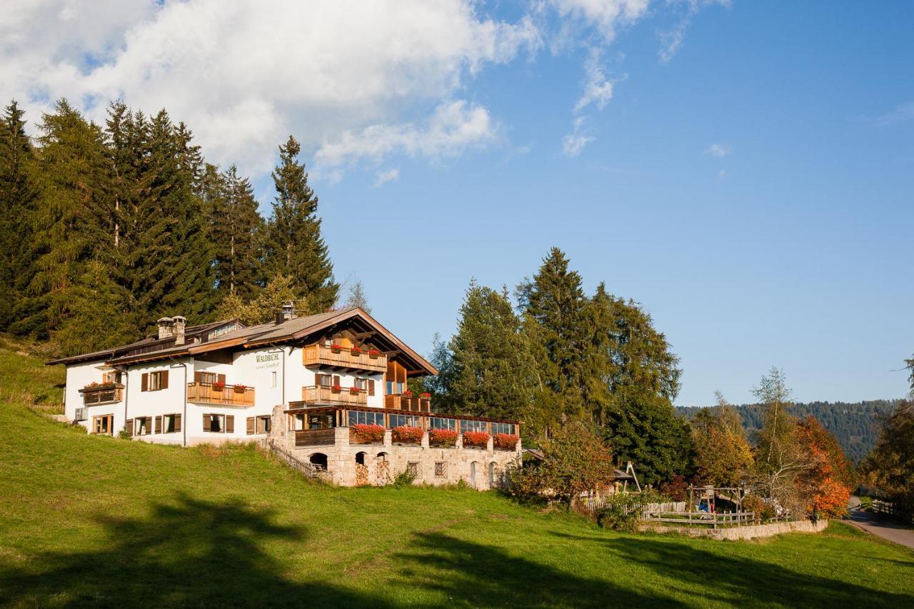 Hotel Restaurant Waldbichl Verano Exteriér fotografie